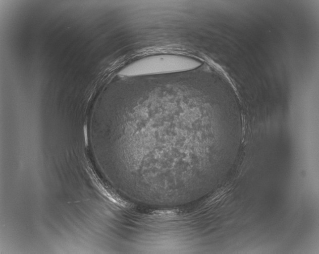 X0000052570061200507221513