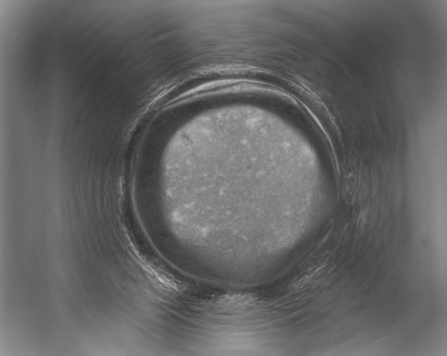 X0000052570063200507221513