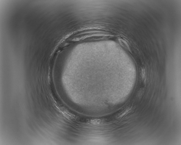 X0000052570064200507221513