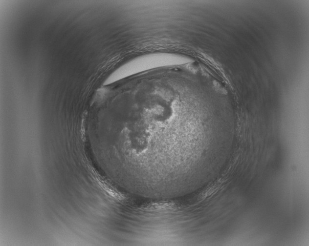 X0000052570065200507221513