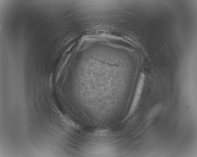 X0000052570066200507221513