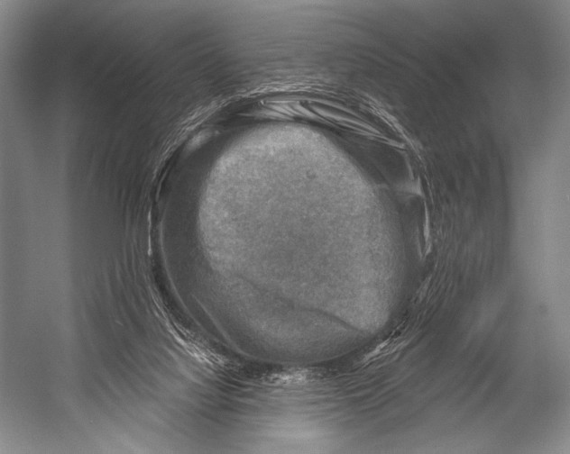 X0000052570068200507221513