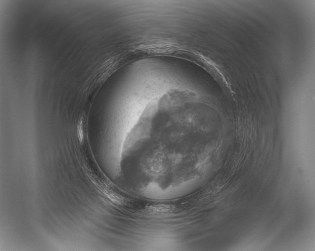 X0000052570069200507221513