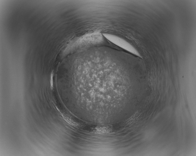 X0000052570070200507221513