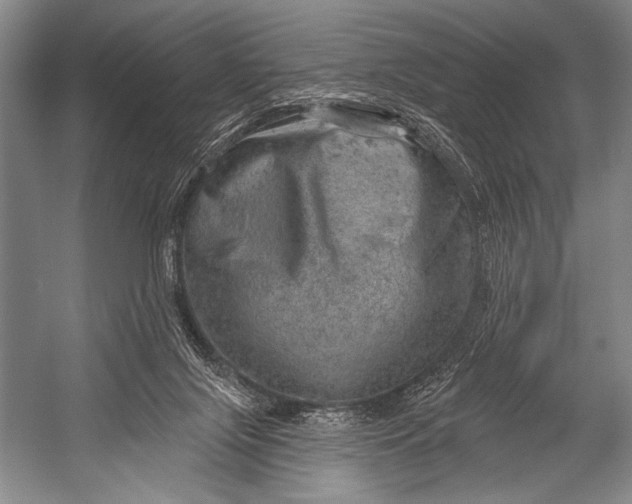 X0000052570071200507221513