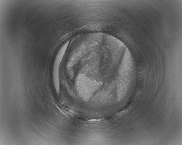 X0000052570072200507221513