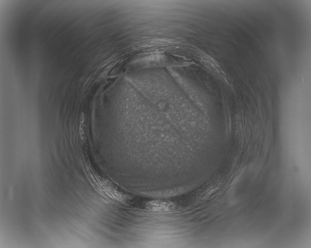 X0000052570073200507221513