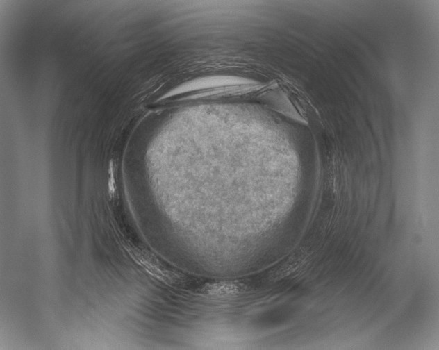 X0000052570075200507221513