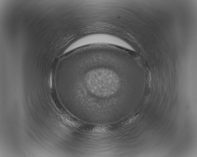 X0000052570076200507221513