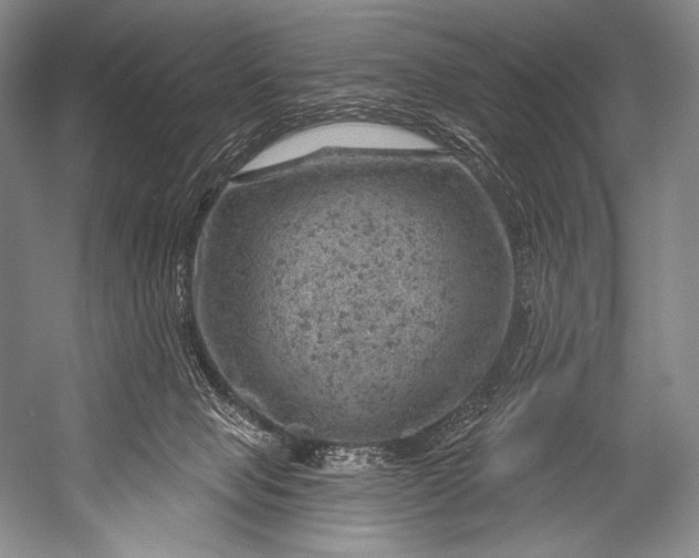 X0000052570077200507221513