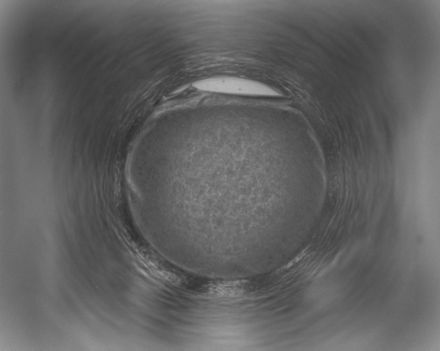 X0000052570078200507221513