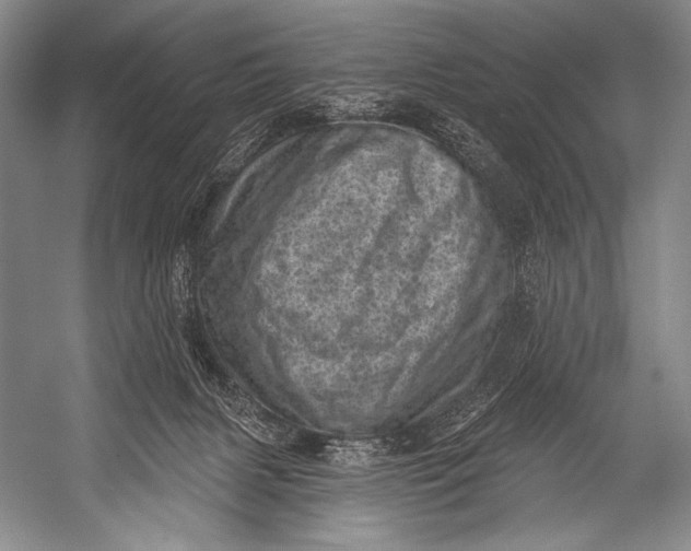 X0000052570079200507221513