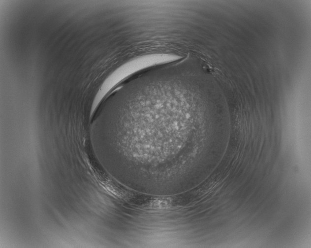 X0000052570080200507221513