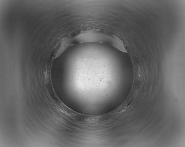 X0000052570084200507221513