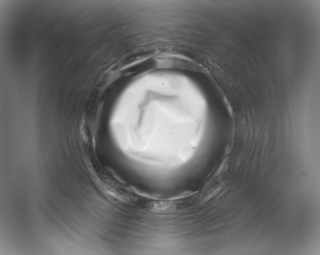 X0000052570088200507221513