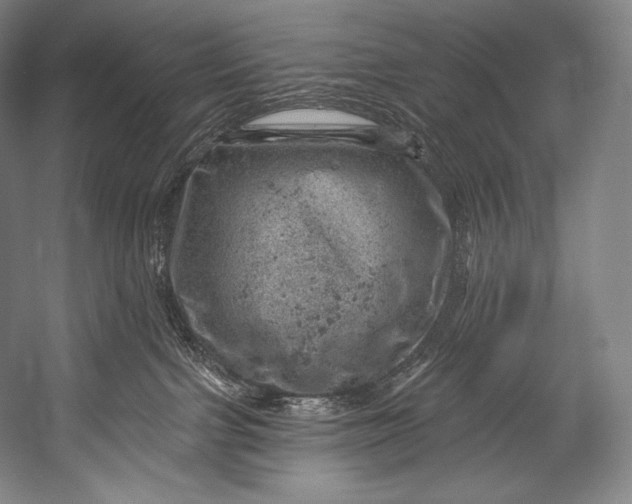 X0000052570091200507221513