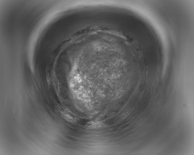 X0000052570093200507221513