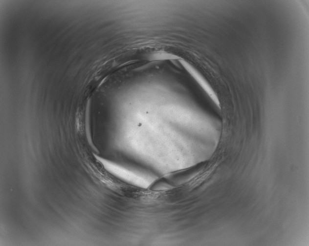 X0000052570096200507221513