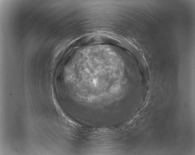 X0000052570097200507221512