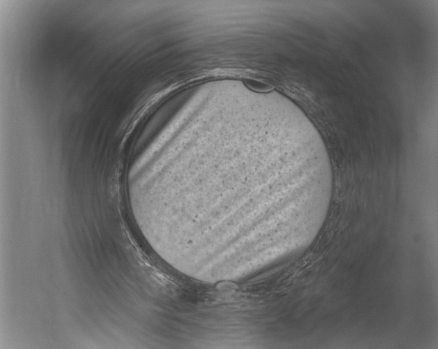 X0000052570098200507221512