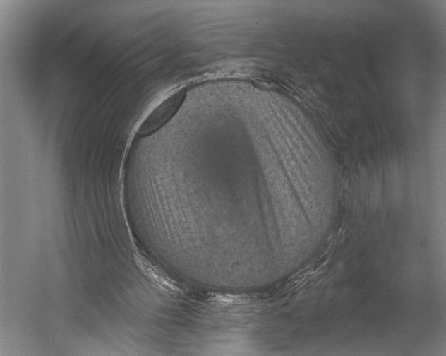 X0000052570100200507221512