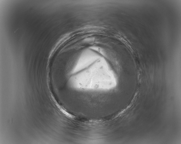 X0000052570101200507221512