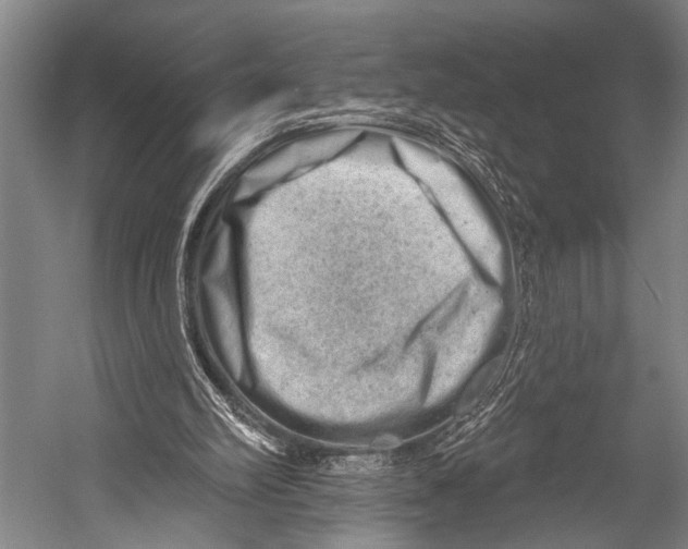 X0000052570102200507221512