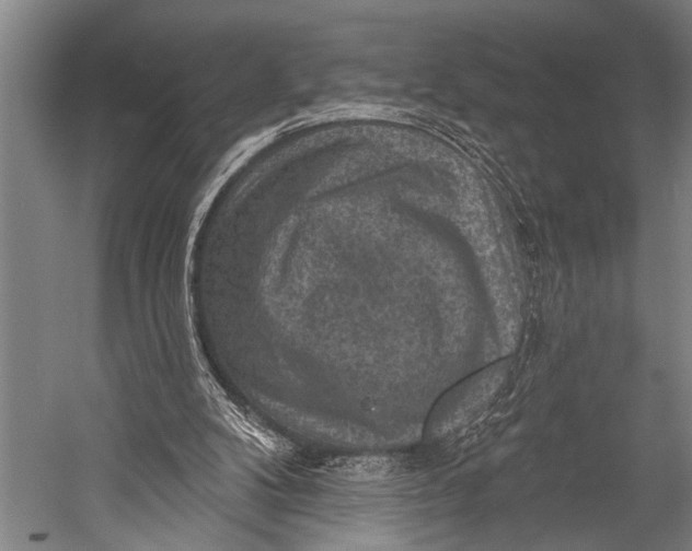 X0000052570104200507221512