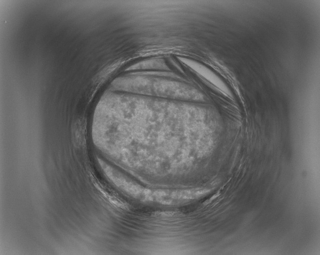 X0000052570107200507221512