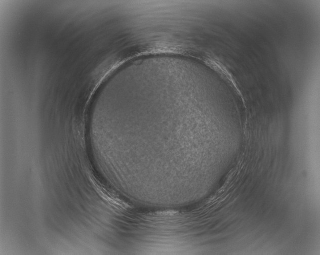 X0000052570108200507221512