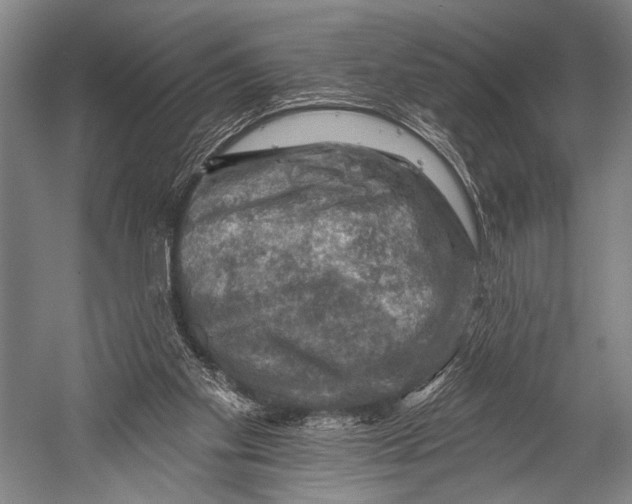 X0000052570109200507221512