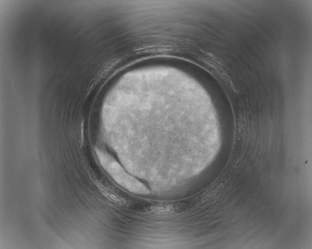 X0000052570110200507221512