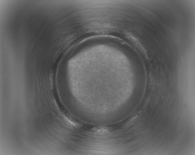 X0000052570113200507221512