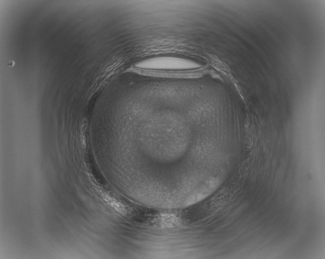 X0000052570114200507221512