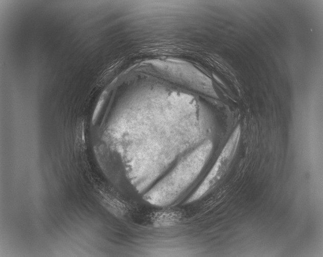 X0000052570115200507221512