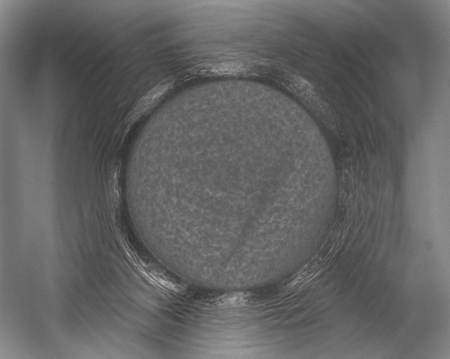 X0000052570116200507221512