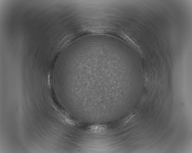 X0000052570117200507221512