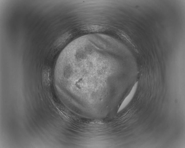 X0000052570119200507221512