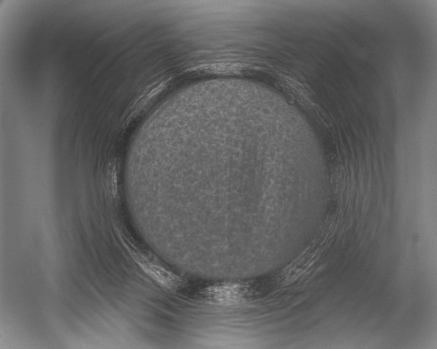 X0000052570120200507221512