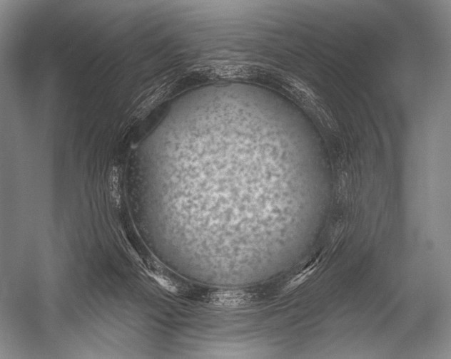 X0000052570121200507221512