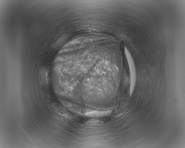 X0000052570123200507221512