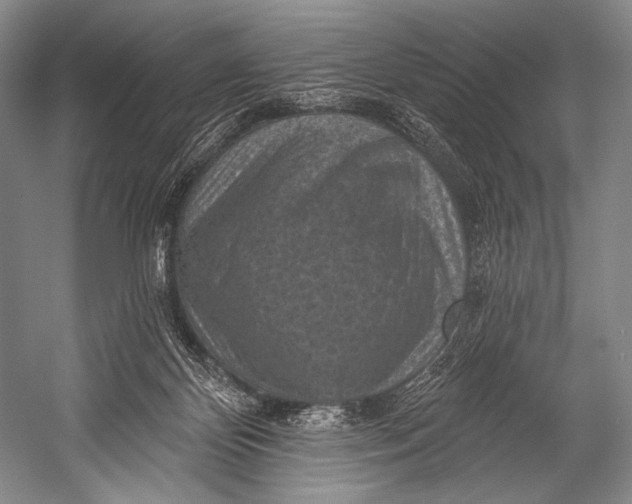 X0000052570124200507221512