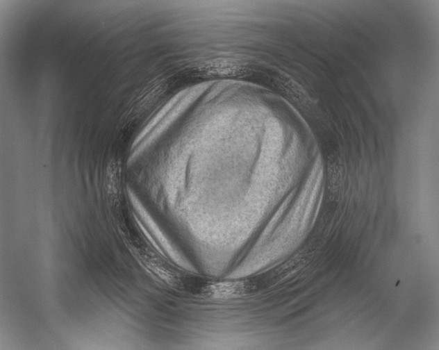 X0000052570126200507221512