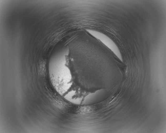 X0000052570127200507221512