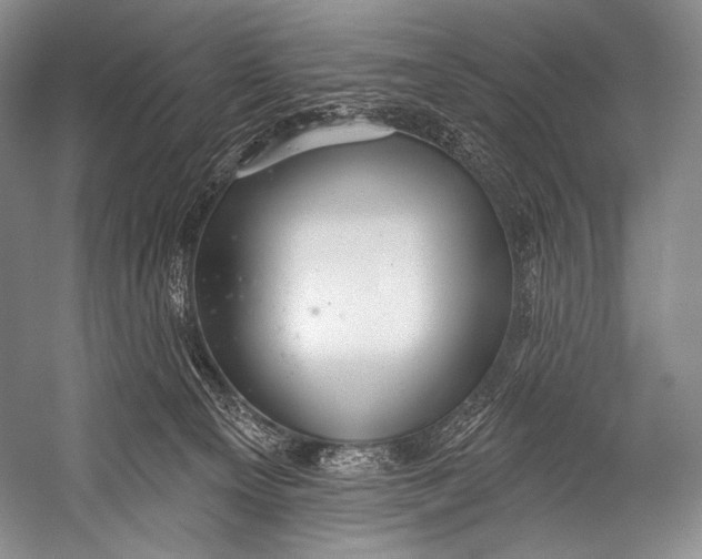 X0000052570129200507221512