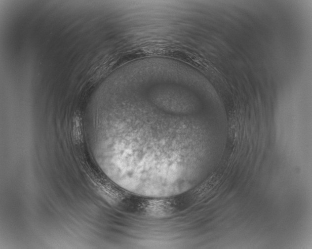 X0000052570130200507221512