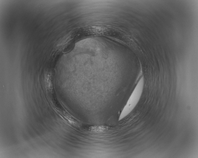 X0000052570131200507221512