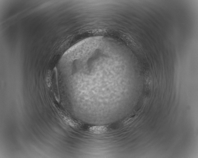 X0000052570133200507221512