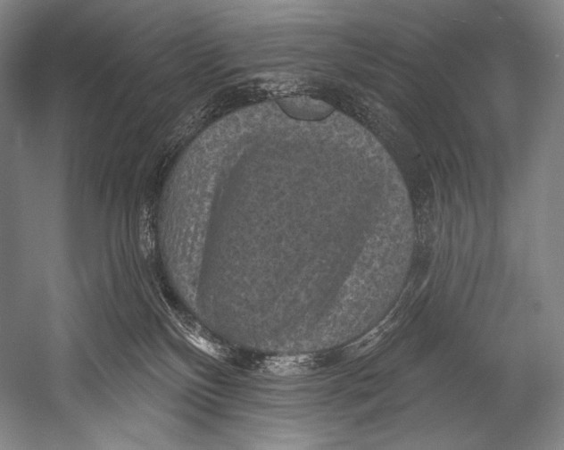 X0000052570136200507221512