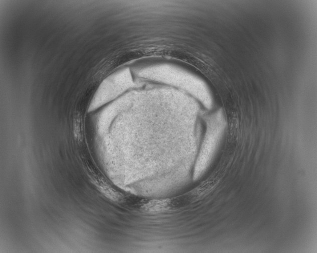 X0000052570138200507221512